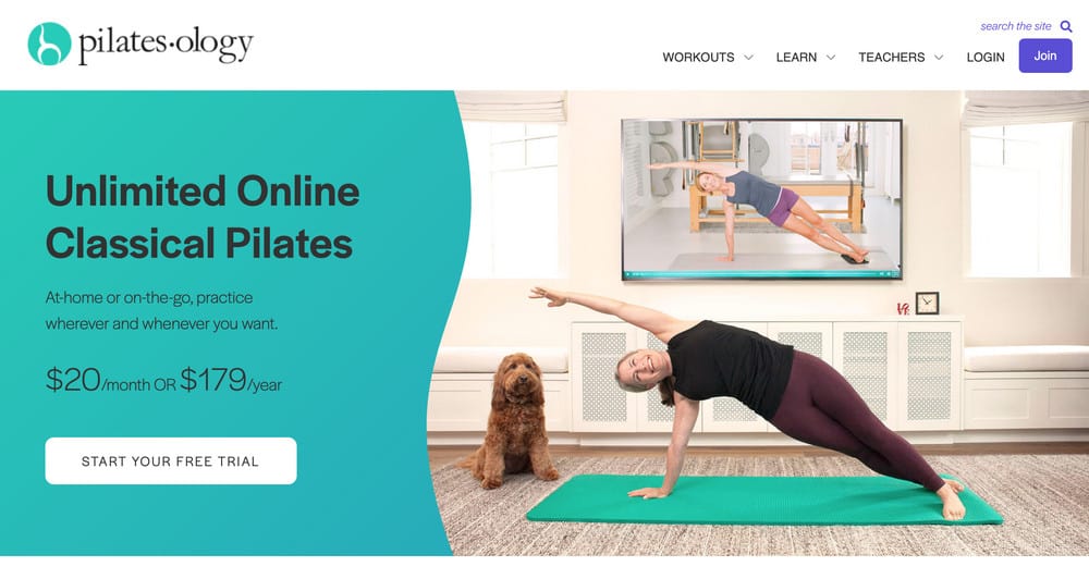 Pilatesology  Online Pilates with the Best Teachers in the World