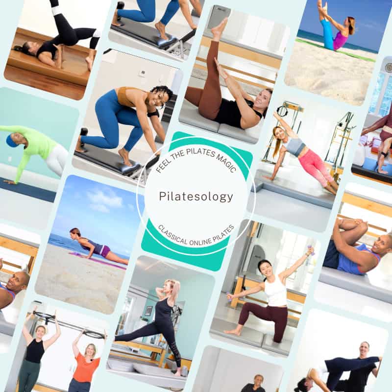 pilatesology online classical pilates