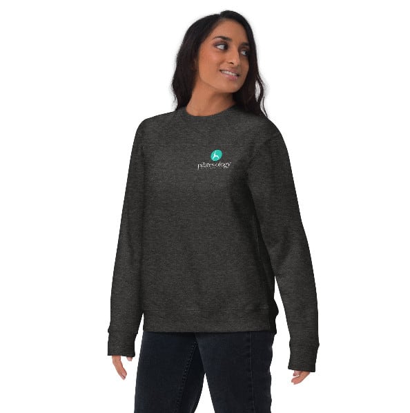 Unisex Premium Sweatshirt Charcoal