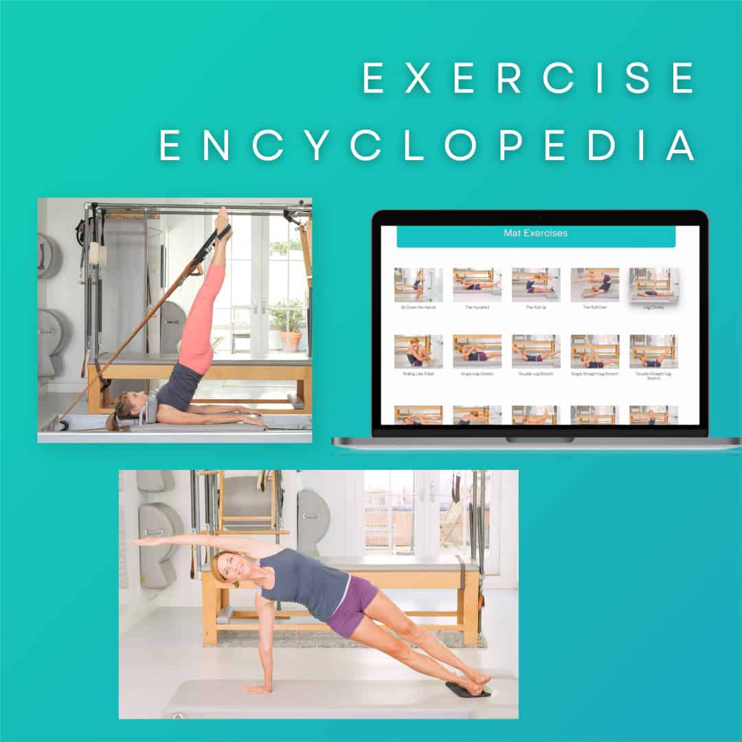 exercise encyclopedia