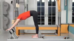 Tips for Elephant on Reformer