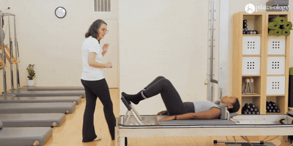 Thinking About Becoming a Pilates Teacher?