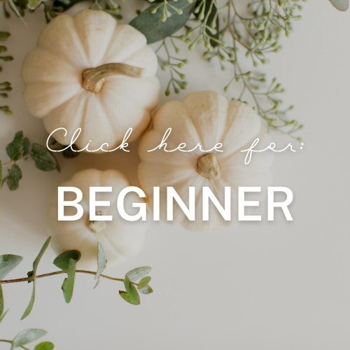 Click Here For Fall Back On Track Beginner